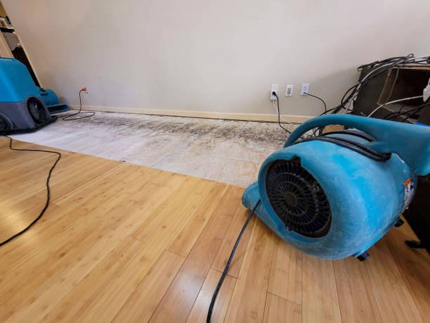 Professional Basement Flood Cleanup technician working in Mount Olive, AL